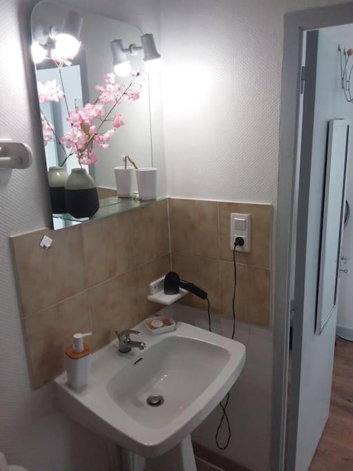 Appartement Duplexe De 1 A 4 Chambres Privees Dans Maison Le Teil Екстериор снимка