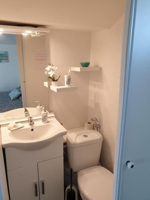 Appartement Duplexe De 1 A 4 Chambres Privees Dans Maison Le Teil Екстериор снимка