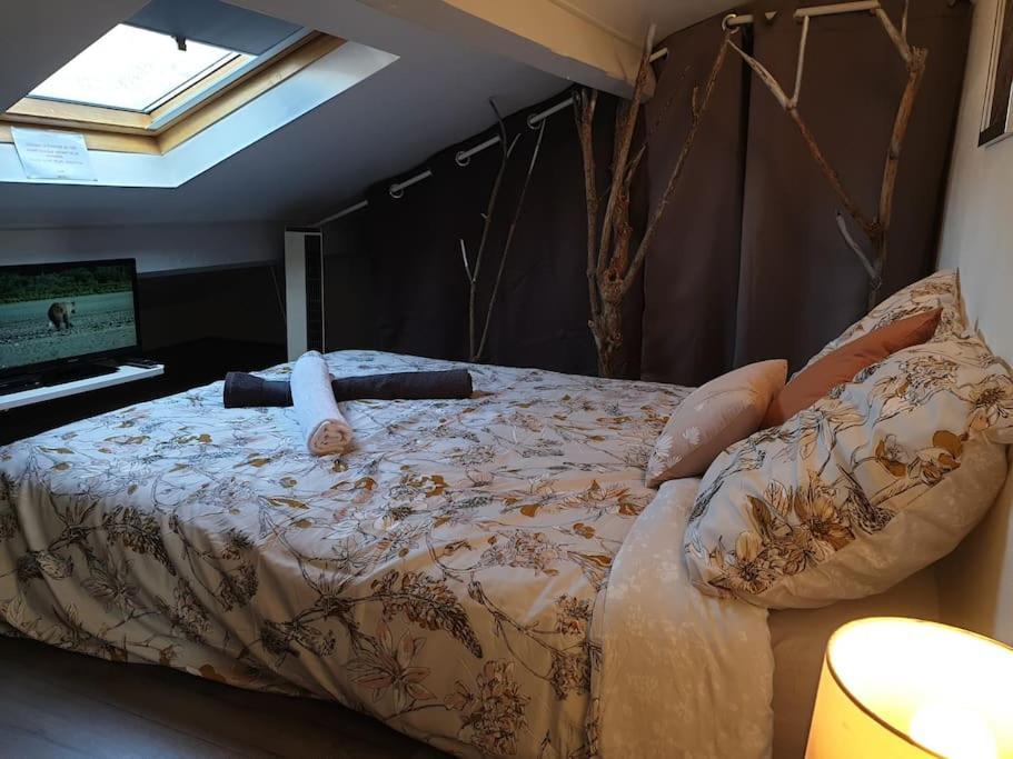 Appartement Duplexe De 1 A 4 Chambres Privees Dans Maison Le Teil Екстериор снимка