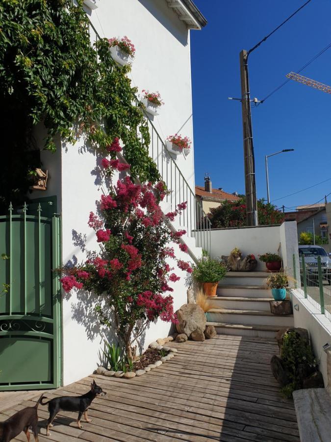 Appartement Duplexe De 1 A 4 Chambres Privees Dans Maison Le Teil Екстериор снимка